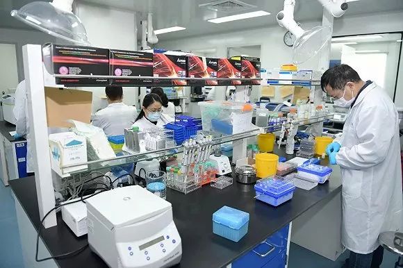 全力以赴、爭分奪秒加強科技攻關!李強今天調研生物醫藥企業,要求加快抗疫產品研發、應用、生產