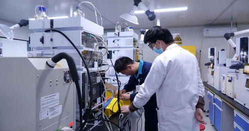 鞏留縣企業(yè)發(fā)展注入新動能帶動就業(yè)促增收