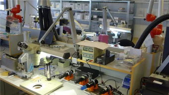 探訪dpa丹麥工廠,發現core技術3毫米話筒頭的研發過程